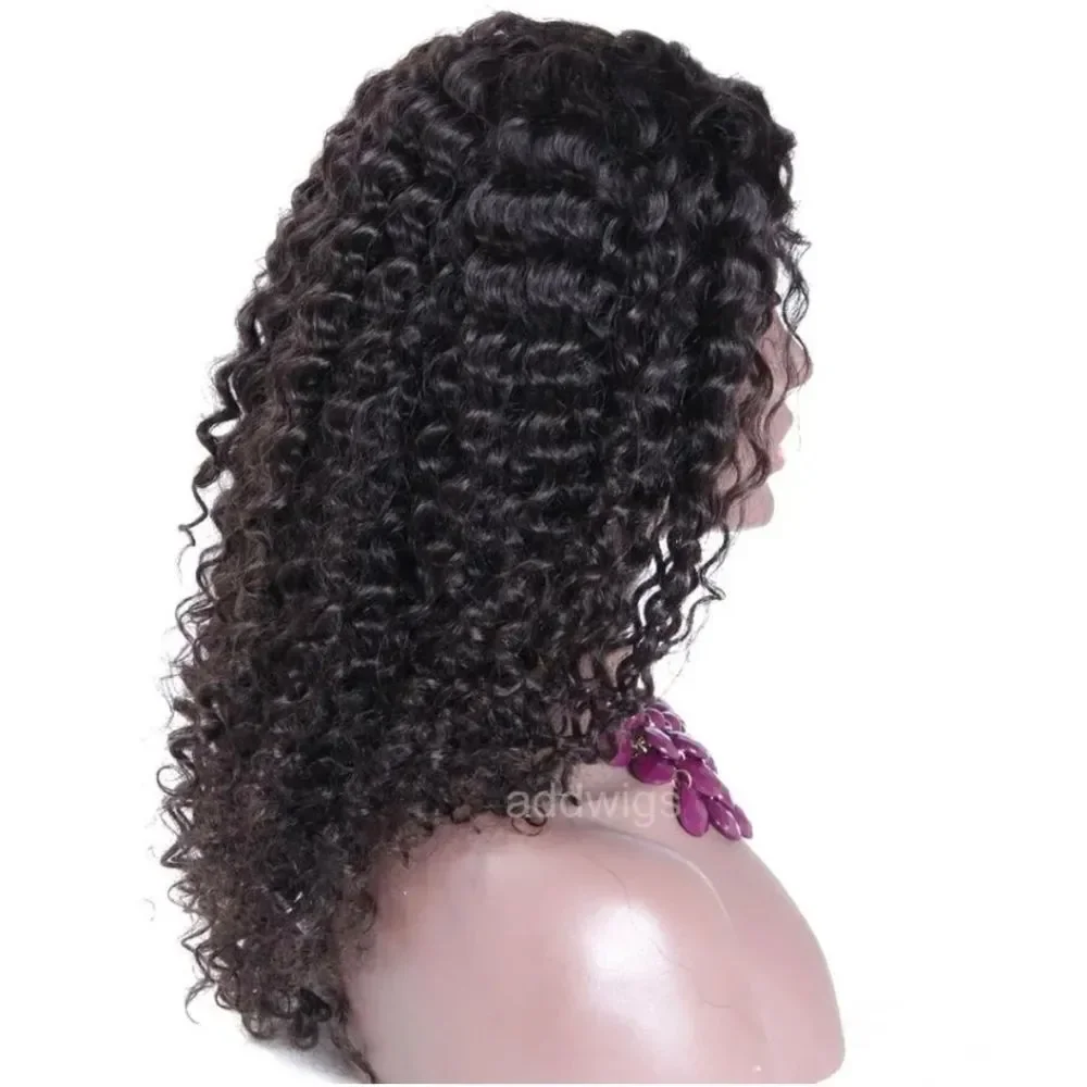 Women's Curly Wavy Chest Long Wigs Black Ladies Synthetic Medium length Hair US